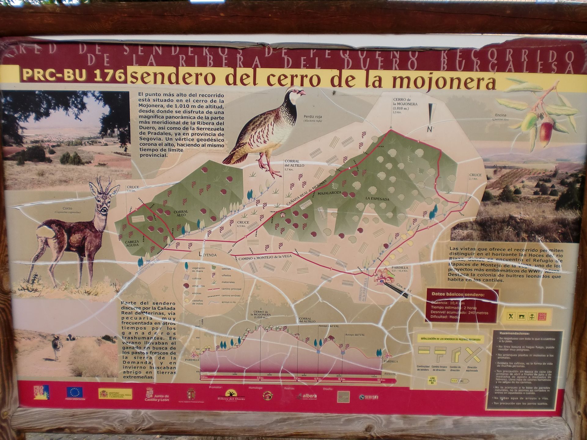 Sendero del Cerro de la Mojonera